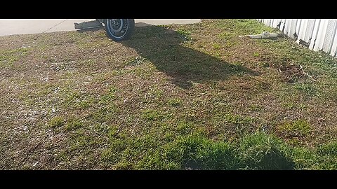 1985 yamaha venture royale project bike Feb 3 2026