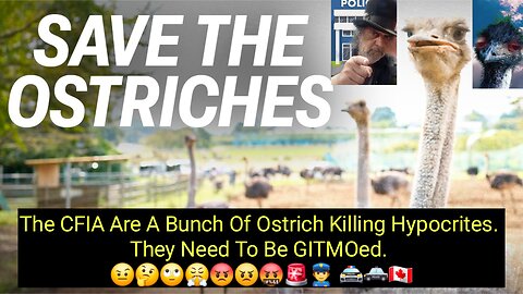CFIA Hell Bent On Killing Ostriches. 🤨🤔🙄😤😡😠🤬🚨👮🚔🚓🇨🇦