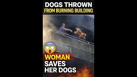 She Saved Herself Before She Saved Her Dogs