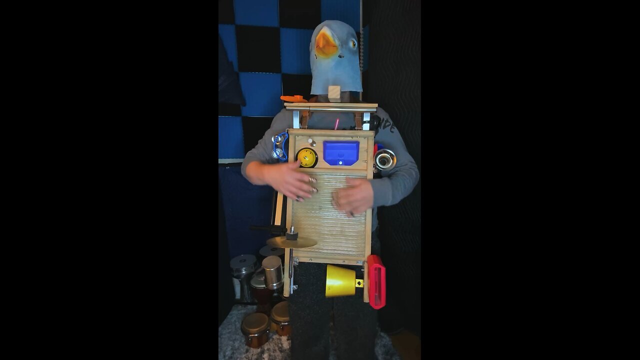 Pigeon beat of the day