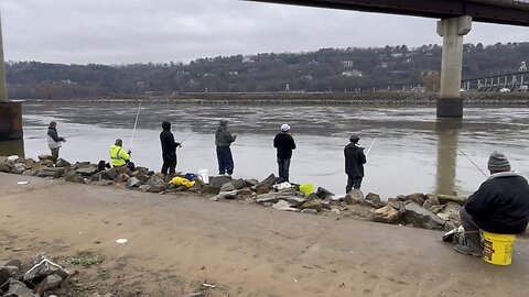 The White Bass Are Running