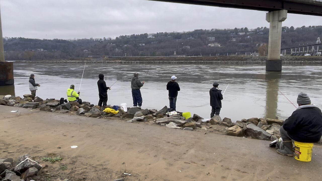 The White Bass Are Running