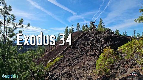 Exodus 34, Bible Reading in Nature, BSB