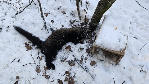 A Teaser! November 12, 2025