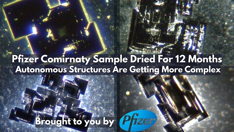 Pfizer Comirnaty Sample Dried For 12 Months - Autonomous Structures Are Getting More Complex