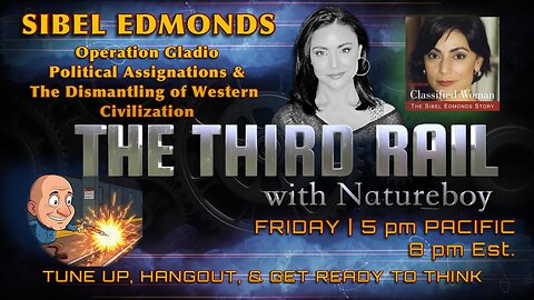 The Third Rail w/ Natureboy 11/28/2025 Sibel Edmonds