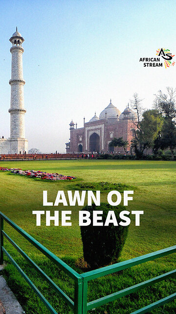 LAWN OF THE BEAST
