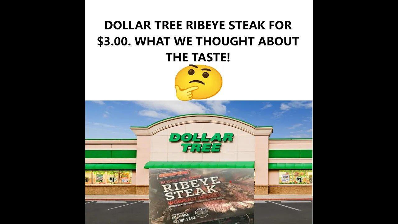 DOLLAR TREE RIBEYE STEAK FOR $3.00. WHAT WE THOUGHT ABOUT THE TASTE!