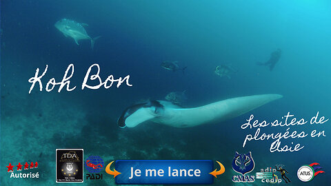 Sortie Croisière plongée en janvier 2026 du 08 au 14,…..reste 1 places