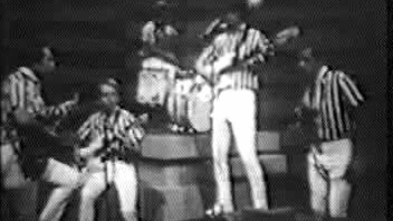 Beach Boys - California Girls & Barbara Ann