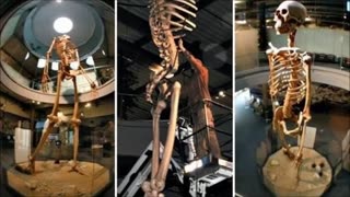 😱🦴 Ancient Gigantic Skeletons Discovered in Ecuador! | TheTruthAbove