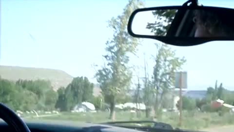 Some more buildings, and a tree