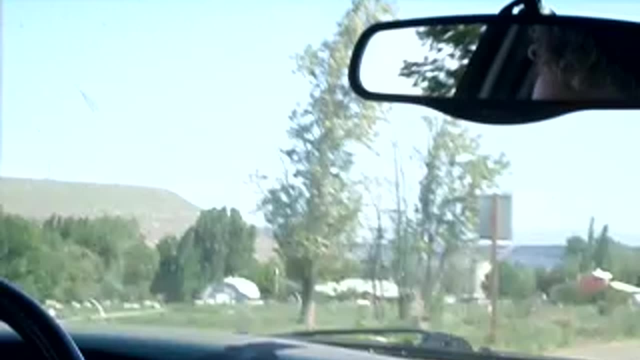 Some more buildings, and a tree