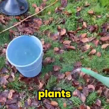 This CRAZY Farming Trick Will Blow Your Mind!