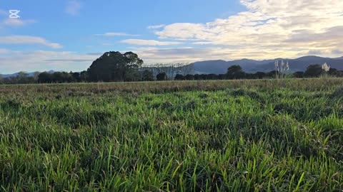 Opening day Duck shooting New Zealand