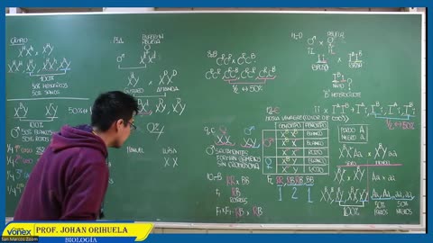 VONEX SEMIANUAL 2023 | Semana 14 | Biología S2