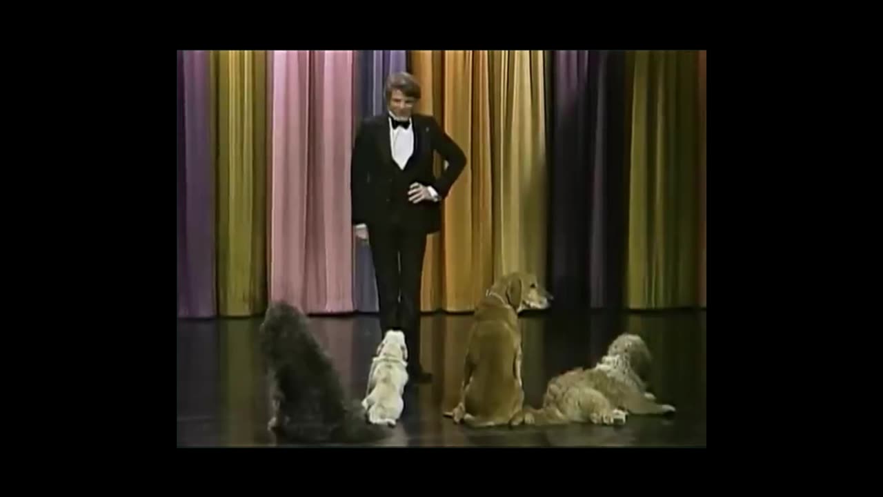 Steve Martin--Tonight Show, dogs #johnnycarson #stevemartin