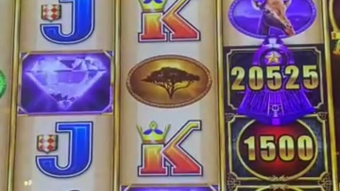 Midday BONUS Video - CASH Express Luxury Line Bonus! $25 Max Bet! Hand Pay