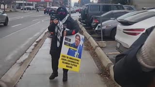 Wild Hippopotamus Seen Blocking Sidewalk