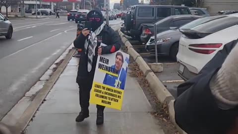 Wild Hippopotamus Seen Blocking Sidewalk