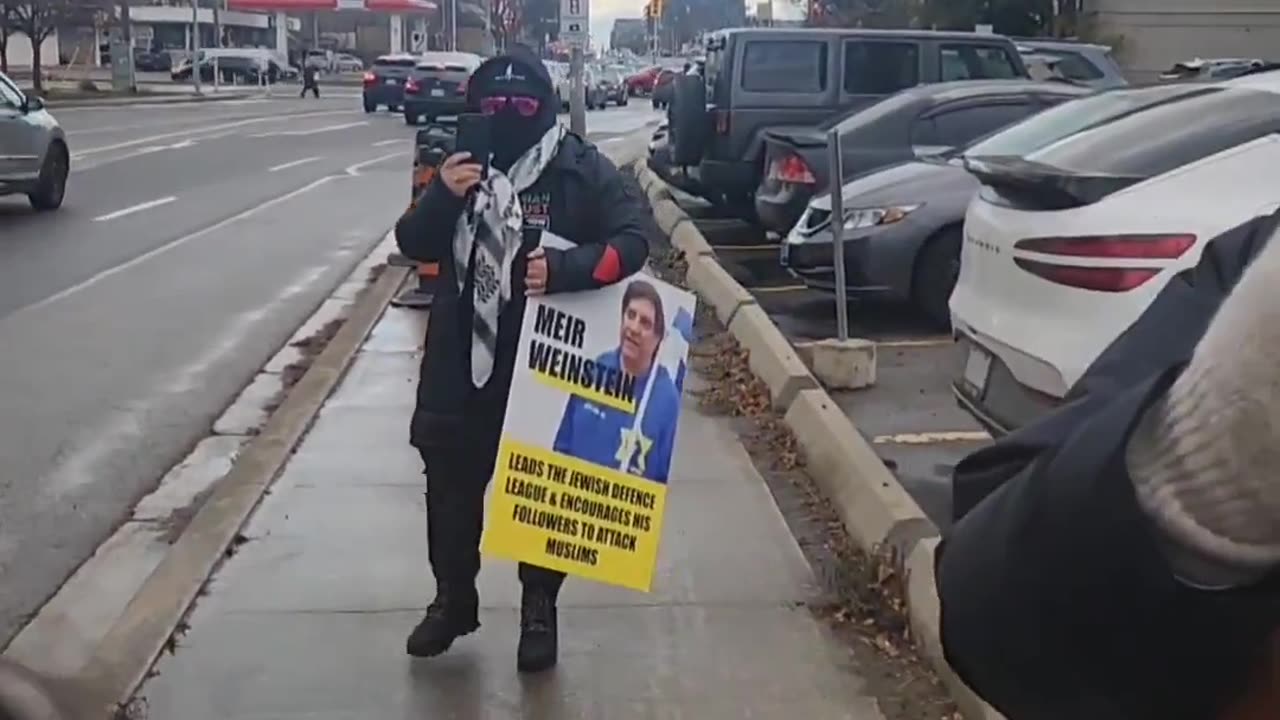 Wild Hippopotamus Seen Blocking Sidewalk