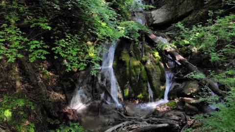 Study Zone: Indie Classical Beats