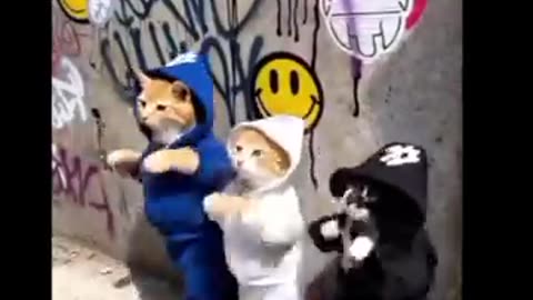 Edgar predicted this would happen "CATS IN ABUNDANCE"