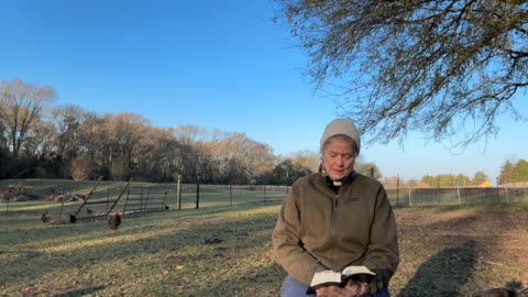 Morning Prayer, Daily office