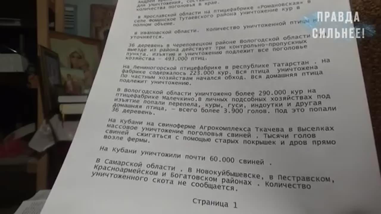 Массовый искусственный голод