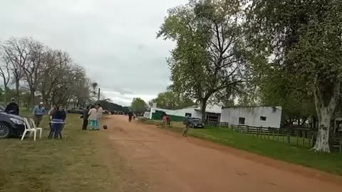 El Chasque para Caballos Criollos - Agremiación Criadores Caballos Criollos - Cerro largo 28/09/2025