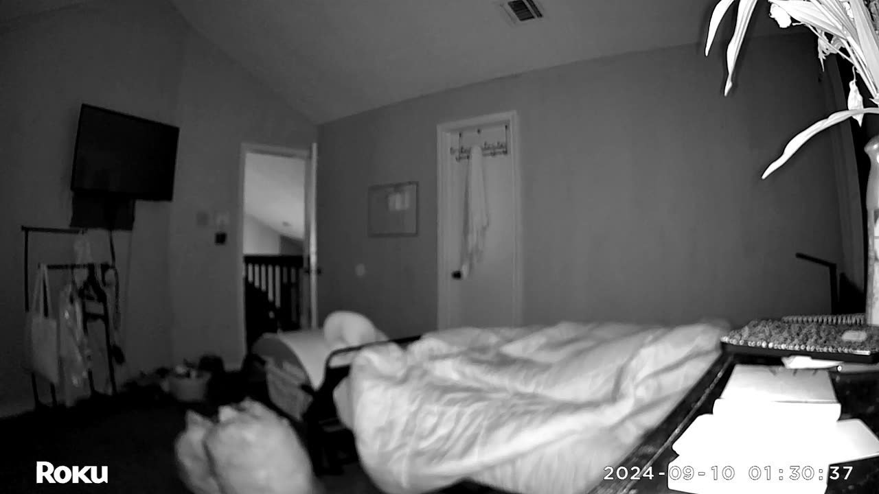 🤔✨ Why Does My House Have So Many Orbs? | TheHauntingHour