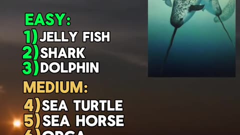 Sea creature quiz. Comment 10/10 if you got the right 🔥👀