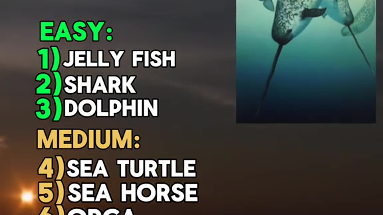 Sea creature quiz. Comment 10/10 if you got the right 🔥👀