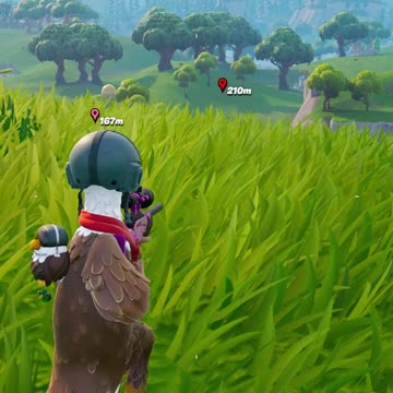 Couple of snipe shots