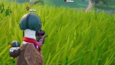 Couple of snipe shots