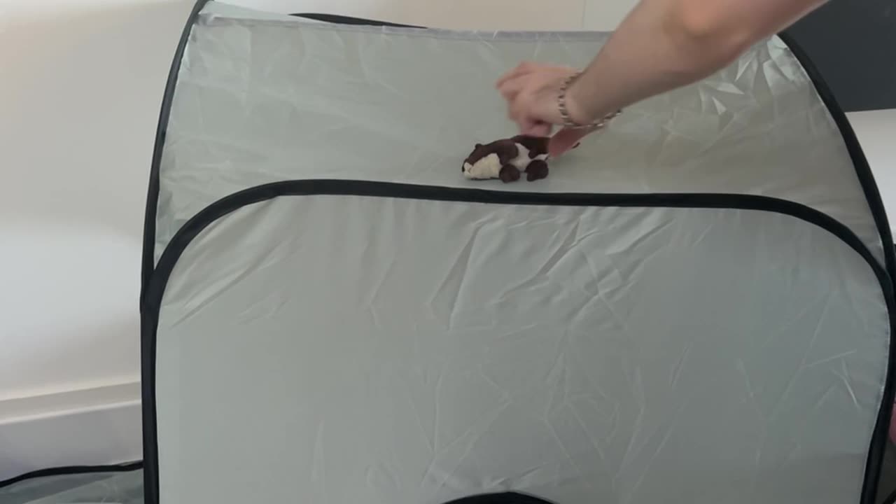 Kitty Hates It When Her Tent is Disturbed