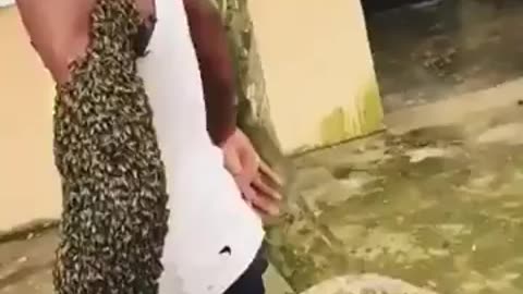 🤯🐝 Wait Until You See How This Guy Transports A Bee Colony | FeedMyCuriosity