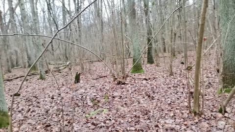 znaleźć właściwą drogą do siebie