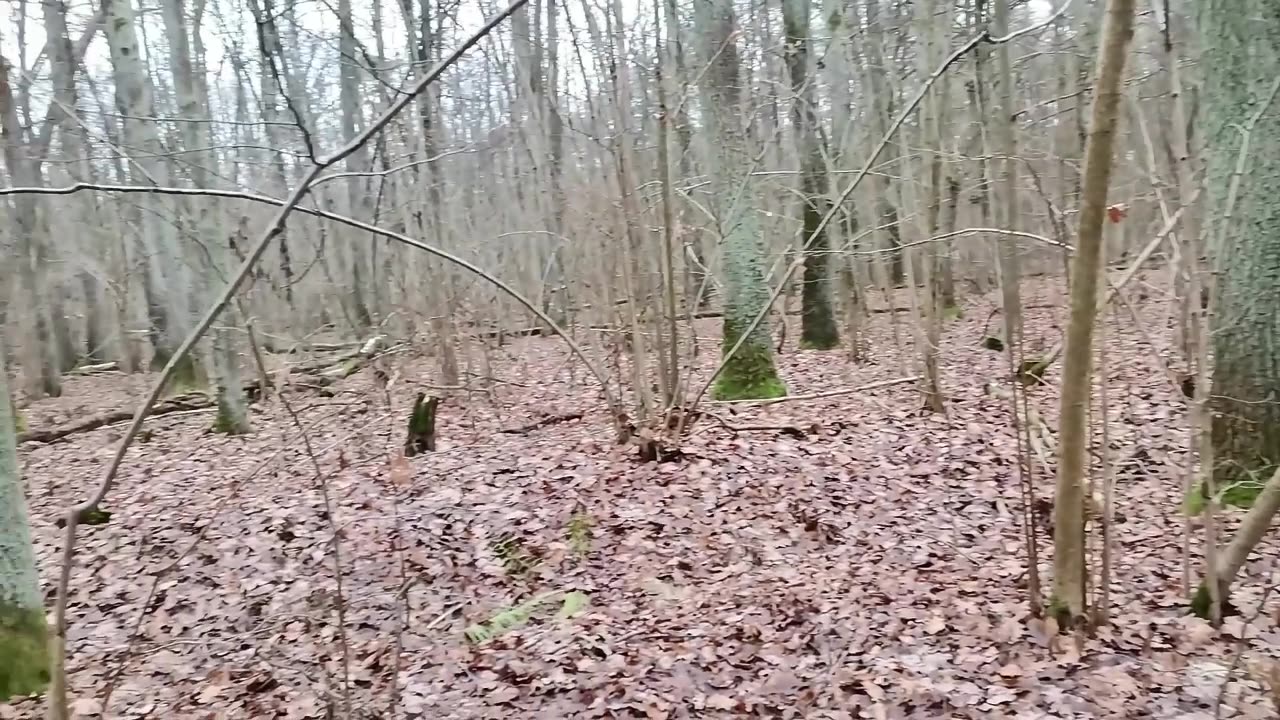 znaleźć właściwą drogą do siebie