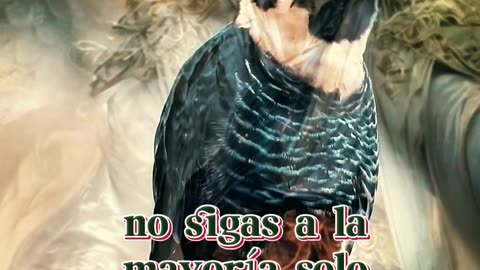 REFLEXIÓN ✨️ 🙏 ✨️ 🙏 ✨️ 🙏 ✨️ 🙏 ✨️ 🙏 ✨️