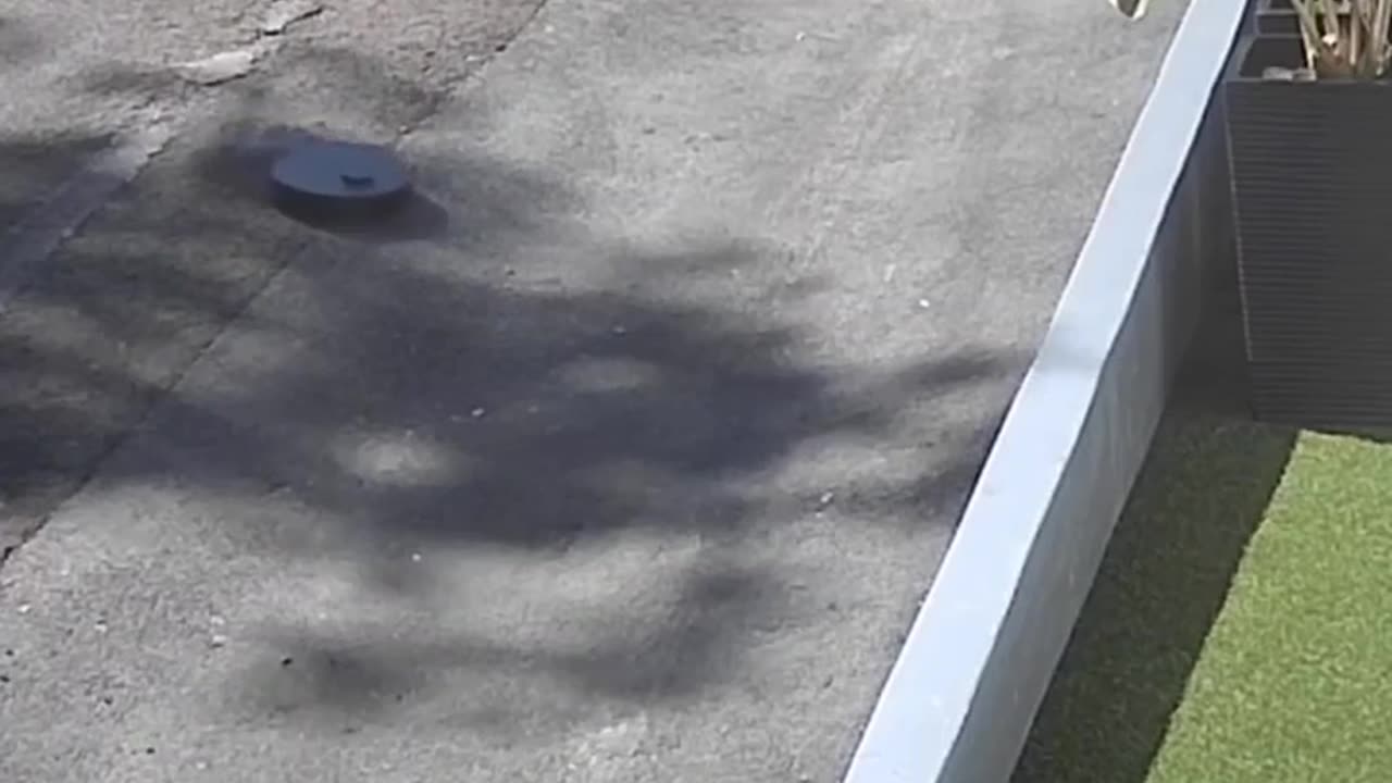 😂🤣 You Won't Believe What Happens Next! | FunFM