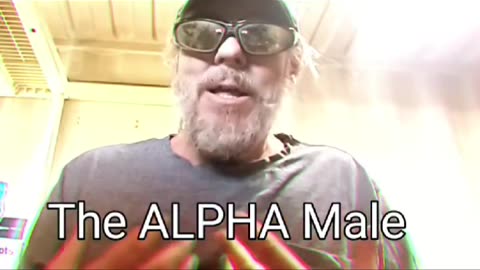 ALPHA Male v BETA male