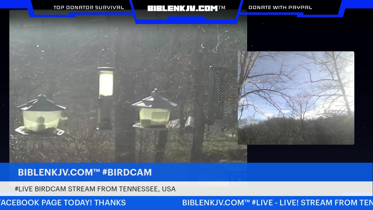 BIBLENKJV.COM™ 1/07/2026 #LIVE #BIRDCAM #WEATHER