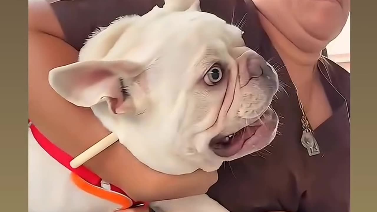 Funny video 🤣📸