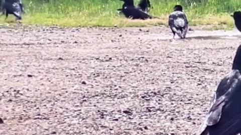 I Did One CRAZY Thing to Find My Sanity and It Changed Everything