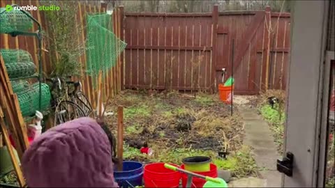 Rainy day January 2026