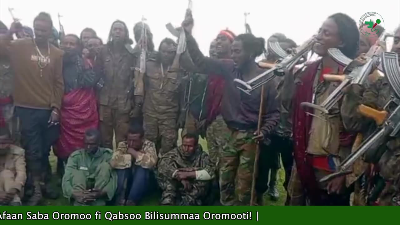 Gabaasa Ammee ONM-ABO Fulbaana 26-2025 itti dhiyaadhaa!