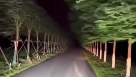 😱🚗 Would You Drive Through This Terrifying Tunnel? | TheHauntingHour