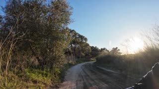 Tha Dogg Pound (Pack of Dogs)Chasing Cyclist for 200 mts mini BIKE RIDE 20th of NOV 2K25 pt 5