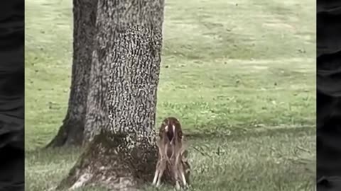 😨👻 Terrifying Paranormal Encounter Caught on Camera! | TheHauntingHour